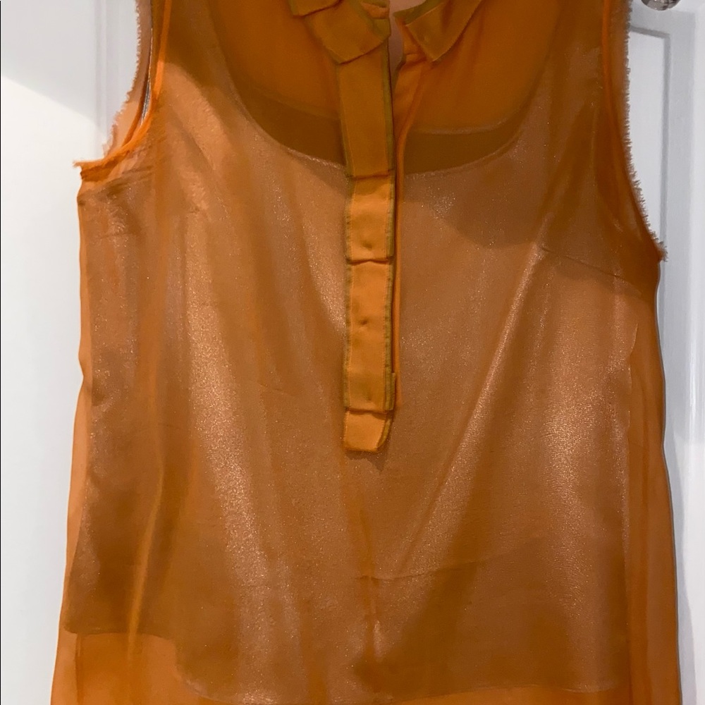 Elie Tahari sheer silk blouse with satin silk camisole